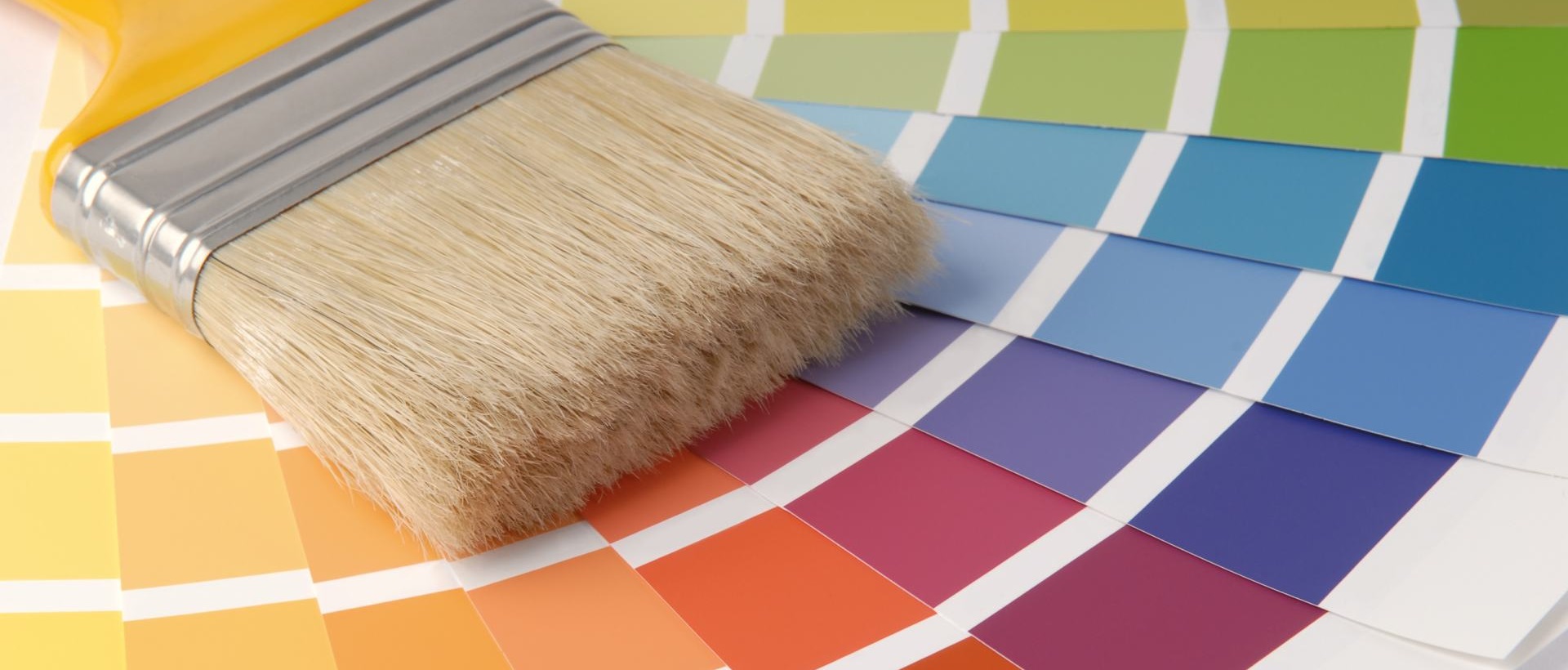 Painter SE20